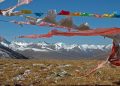 China lithium boom harming fragile Tibetan plateau: report