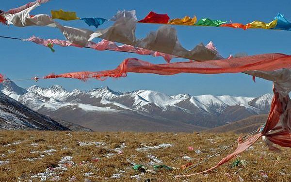 China lithium boom harming fragile Tibetan plateau: report