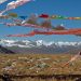 China lithium boom harming fragile Tibetan plateau: report