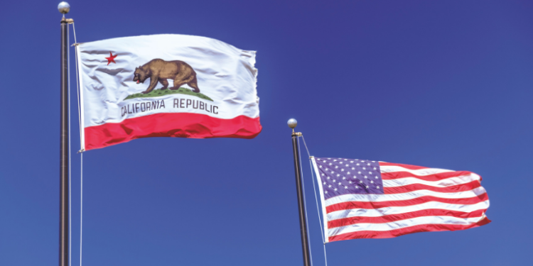 California to lose 22% of solar jobs by end of year