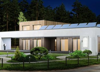 Friend or Foe to the Environment? Debunking the Carbon Footprint Myths