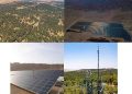 The solar forest
