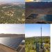 The solar forest