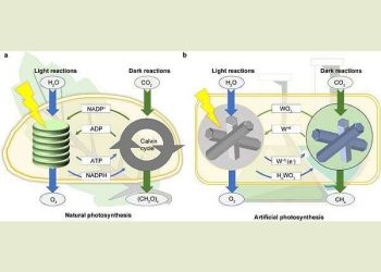 Innovative catalyst achieves continuous CO2 conversion regardless of weather conditions