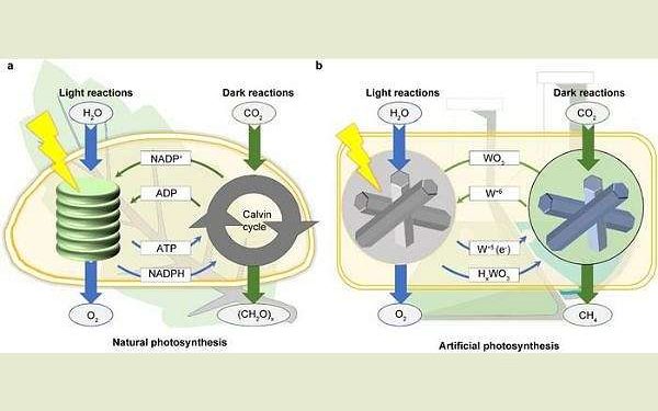 Innovative catalyst achieves continuous CO2 conversion regardless of weather conditions