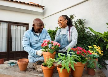 Can You Actually Save Money with Solar in 2024?