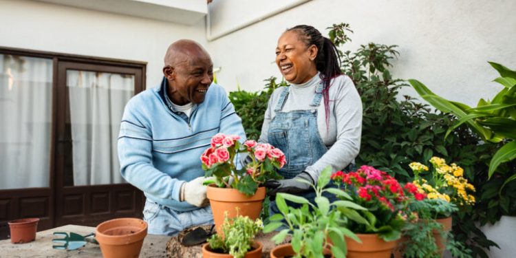 Can You Actually Save Money with Solar in 2024?