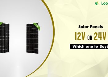 How to Choose Between a 12V and 24V Solar Panel?