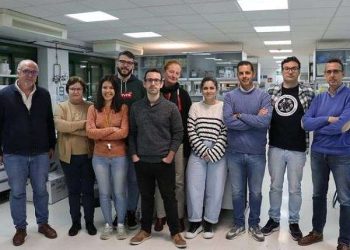 The first battery prototype using hemoglobin is developed