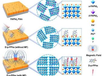 Innovative chiral molecule strategy boosts perovskite solar cell efficiency