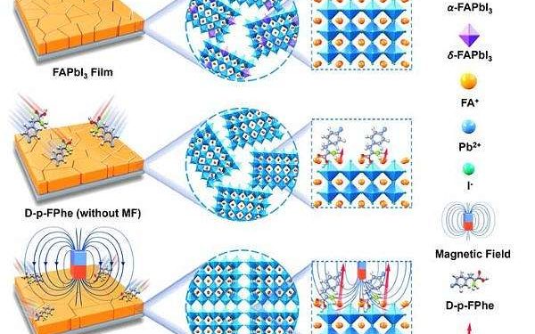 Innovative chiral molecule strategy boosts perovskite solar cell efficiency