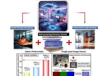 Revolution in low-light imaging with integrated photovoltaic and photodetector organic device