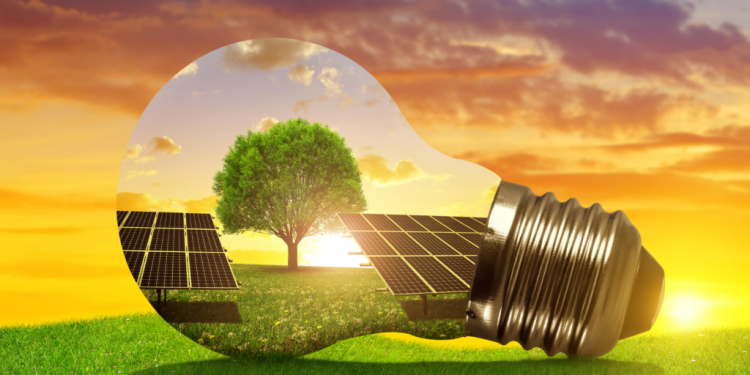 Solar Energy and the Environment: A Closer Look at Its Impact