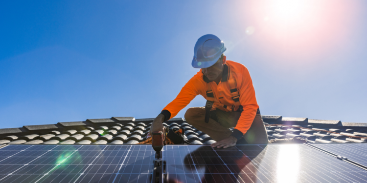 Understanding the Warranty and Service Support for Solar Panels