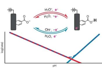 Study reveals a reaction at the heart of many renewable energy technologies