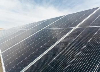 Qcells to build 12 GW of solar for Microsoft through 2032