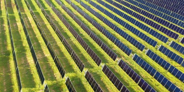 Silicon Ranch to work with data centers in Nevada and Utah to site solar projects nearby