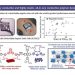 KAIST unveils high-efficiency, stretchable organic solar cells