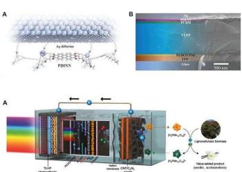 Novel Cathode Interlayer Boosts Performance of Tin-Lead Perovskite Solar Cells