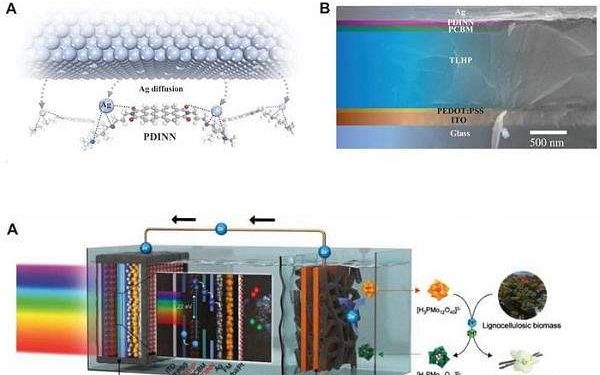 Novel Cathode Interlayer Boosts Performance of Tin-Lead Perovskite Solar Cells