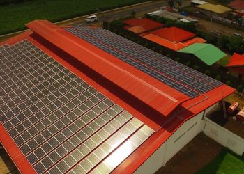 5 Sustainable Practices to Try in the New Year