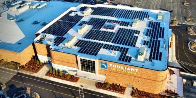 Renu Energy Solutions becomes Swell channel partner for VPP market