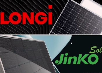 Which One to Choose in 2024