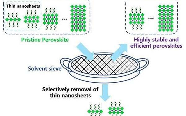 Perovskite LEDs achieve unprecedented lifespan with new sieving technique