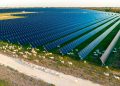 Lightsource bp developing 288-MW Texas solar portfolio