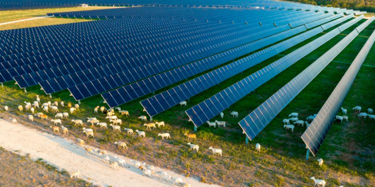 Lightsource bp developing 288-MW Texas solar portfolio