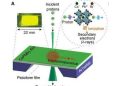 NUS develops perovskite nanocrystal scintillators for precise single-proton detection