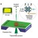 NUS develops perovskite nanocrystal scintillators for precise single-proton detection