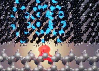 Paderborn University’s Hawk-Powered Breakthrough Aims to Boost Solar Cell Efficiency