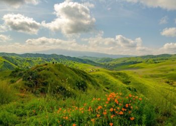 Prepare for the Solar Spring Rush!