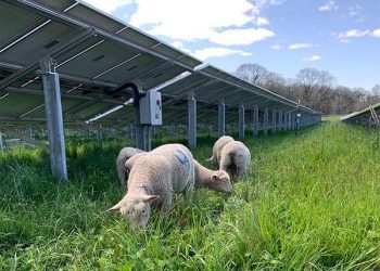 Maximizing Ecological Benefits on Occupied Land