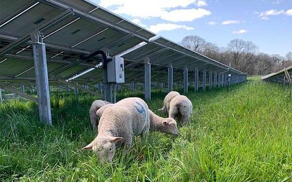 Maximizing Ecological Benefits on Occupied Land