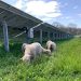 Maximizing Ecological Benefits on Occupied Land