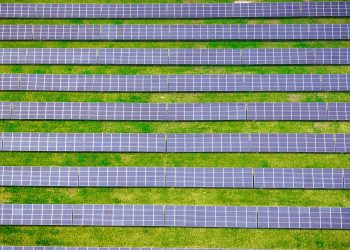 Exploring the Potential of Antimony Photovoltaic Modules