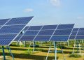 How Solar Energy Can Transform Your Business’s Energy Consumption