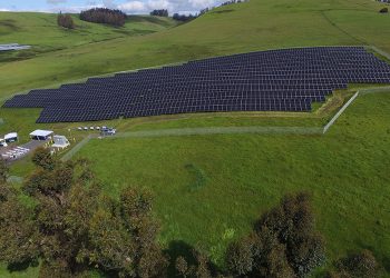 Harvest can continue on solar project built at California farm