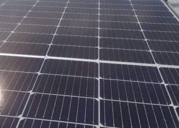 Trina Solar: Home’s Bright Star?