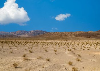 Bureau of Land Management releases final rules for renewable energy projects on public lands