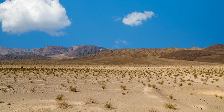 Bureau of Land Management releases final rules for renewable energy projects on public lands