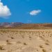 Bureau of Land Management releases final rules for renewable energy projects on public lands