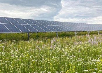 Quantum material achieves up to 190% efficiency in solar cells