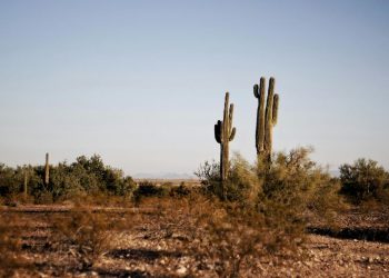 Monthly solar generation tops coal for first time in Texas