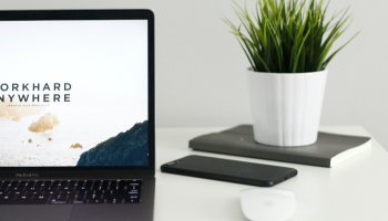 Design Principles for Successful Brands