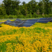 Strong state solar policies boost adoption of distributed energy – pv magazine USA