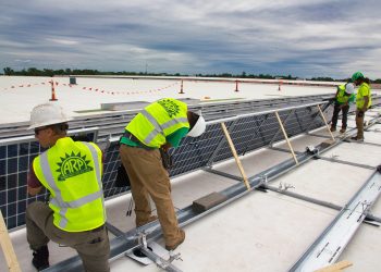 Bifacial solar panels lose tariff exemption after Biden reverses course