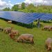 Estimating cultivable land at photovoltaic sites for dual-purpose use